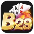 b29